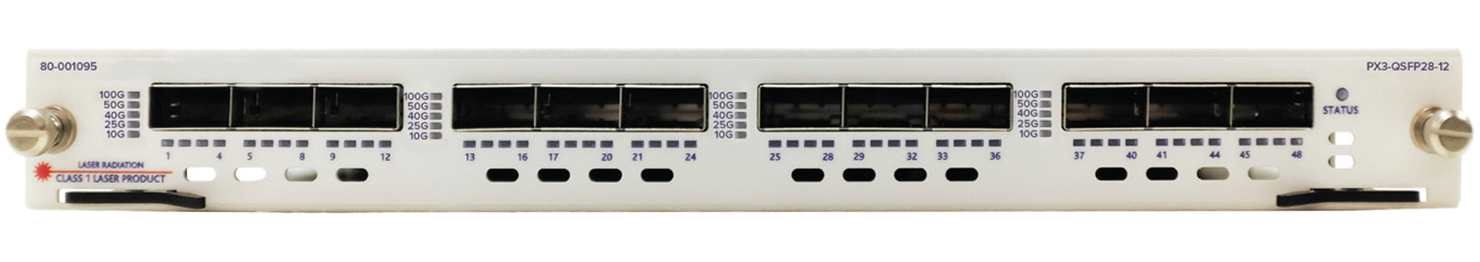 Spirent PX3 12-Port Quint-Speed QSFP28 Module