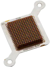 DL1 png